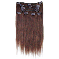 Clips-in Hair Extensions